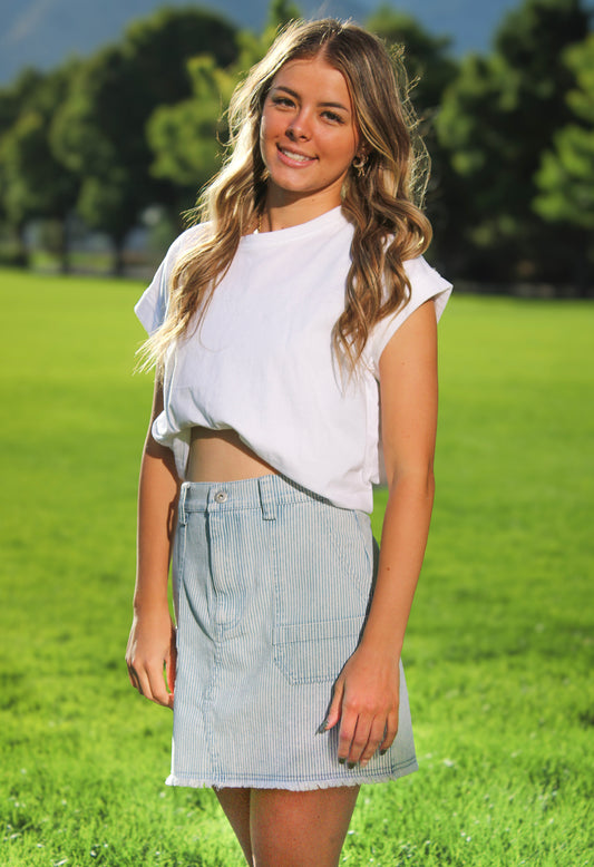 Vintage Stripe Denim Skirt